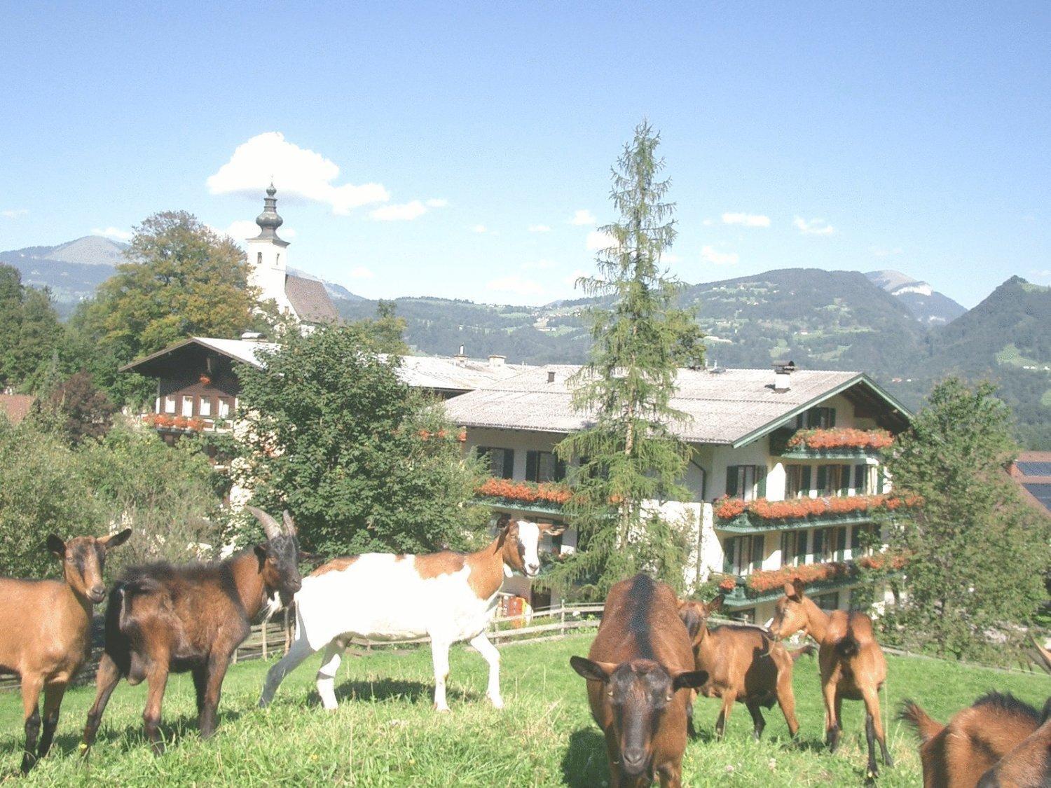 Torrenerhof Hotel Golling an der Salzach Exterior foto