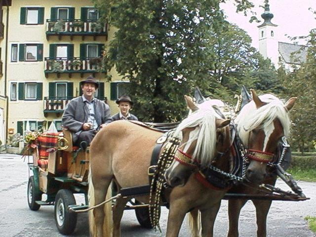 Torrenerhof Hotel Golling an der Salzach Exterior foto